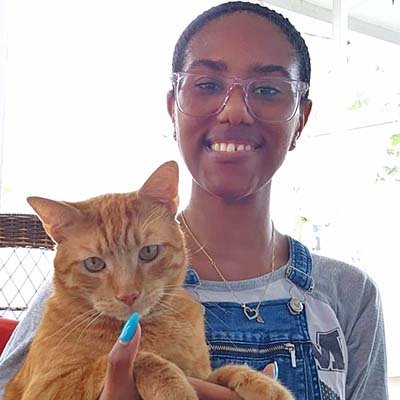 daily-cat-sitter-in-orlando-fl daily cat sitter in Orlando FL