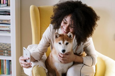 pet sitting in Gotha FL