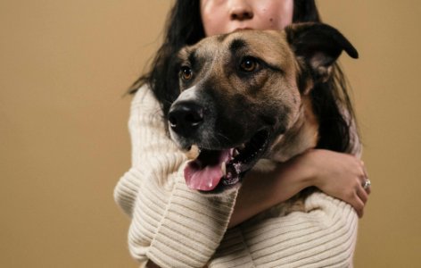 pet sitting Gotha FL
