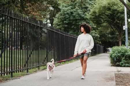 Pet sitting in Winter Springs FL