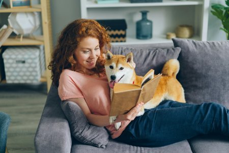 pet sitting Dr. Phillips FL