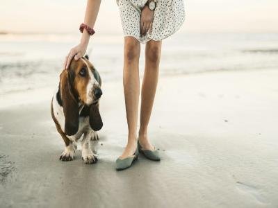 pet sitting in Baldwin Park 