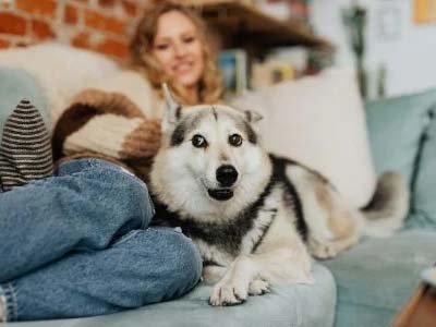 dog boarding in Gotha FL