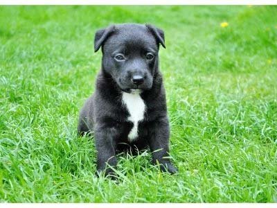 overnight visits in Harmony FL