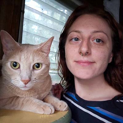 cat-sitter-in-lakeland-fl Cat Sitter in Lakeland FL